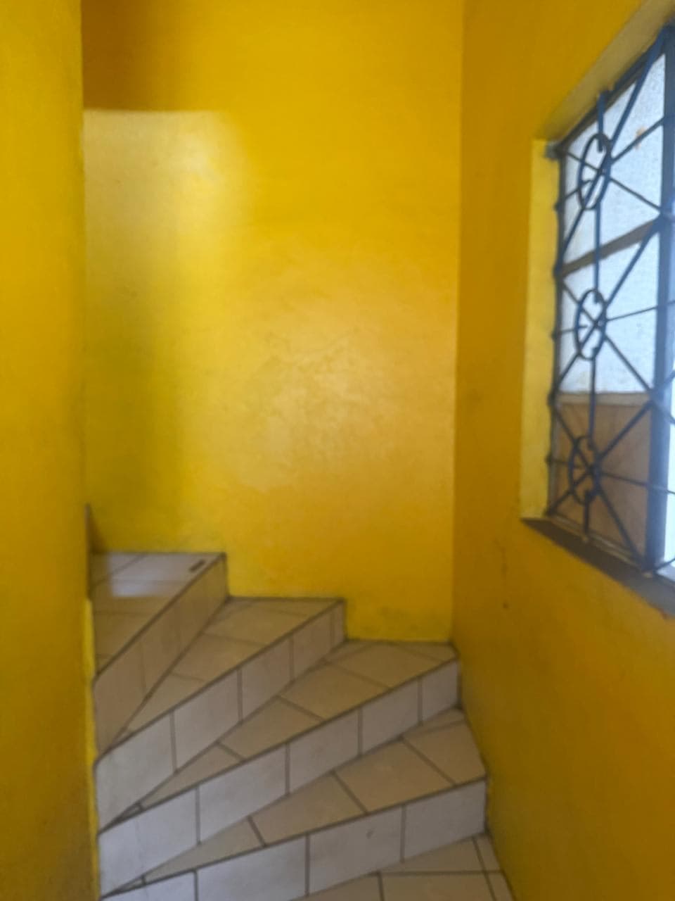 Commercial Property in EDIFICIO EN MANZANILLO — photo 9