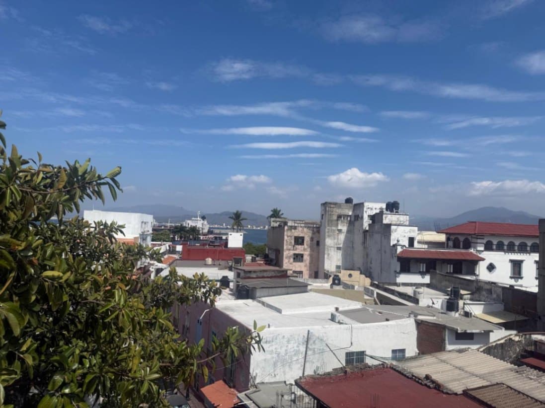 Commercial Property in EDIFICIO EN MANZANILLO — photo 12